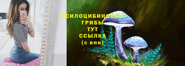 амф Алексеевка