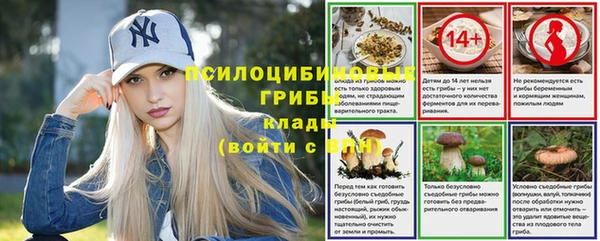 амф Алексеевка
